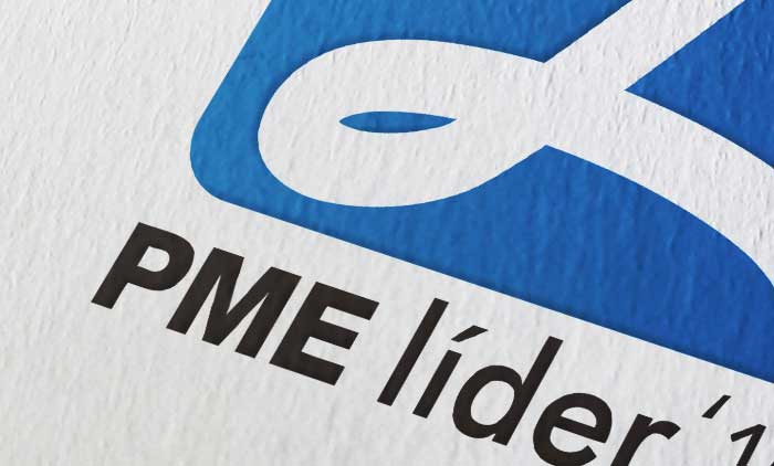 Plano de Recuperação e Resiliência (PRR) 7 PME LIDER