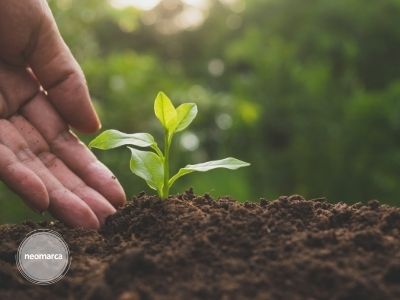 Plano de Recuperação e Resiliência (PRR) 9 política agrícola comum