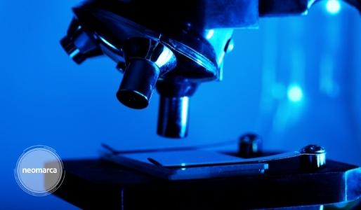 Plano de Recuperação e Resiliência (PRR) 8 SIFIDE