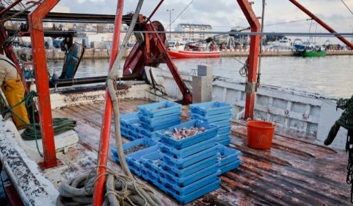 Plano de Recuperação e Resiliência (PRR) 7 Transição Verde e Digital e Segurança nas Pescas