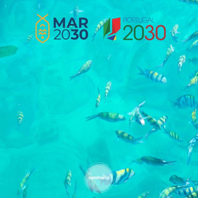 Plano de Recuperação e Resiliência (PRR) 7 Mar 2030: Execução da EDL do GAL Costeiro do Barlavento do Algarve